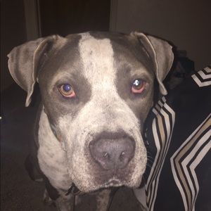 Meet your Posher, Briana